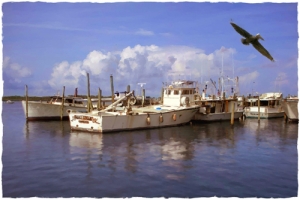 View From the Dock - Cortez Fishing Village, Cortez, Florida
